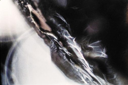 betzybromberg2_600