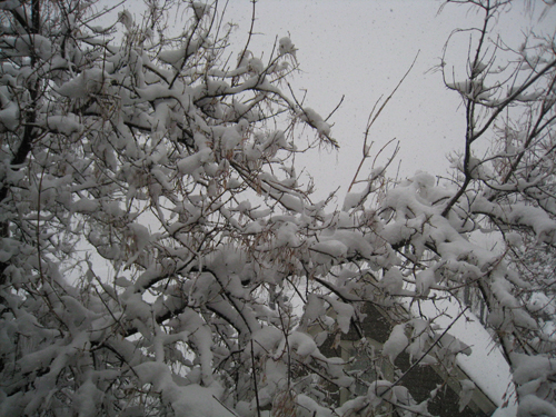 Early morning snow in Park City, UT | Photo: Andrew Ahn