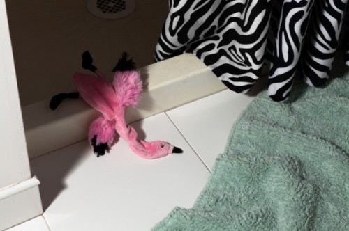 May_MM-Flamingo