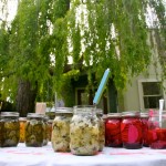 JenSmith-3-PickleParty