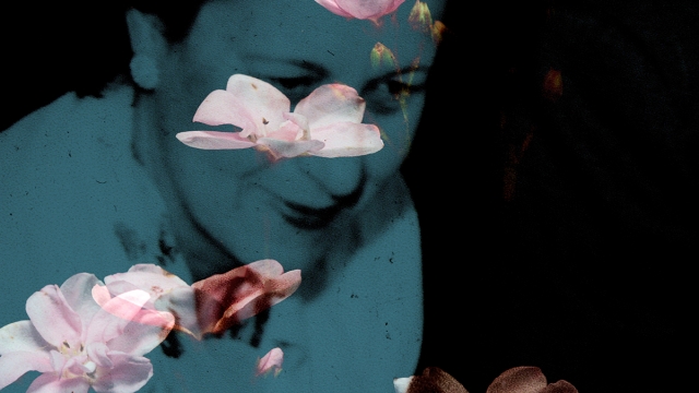 Still from Janie Geiser's 'Flowers of the Sky.'