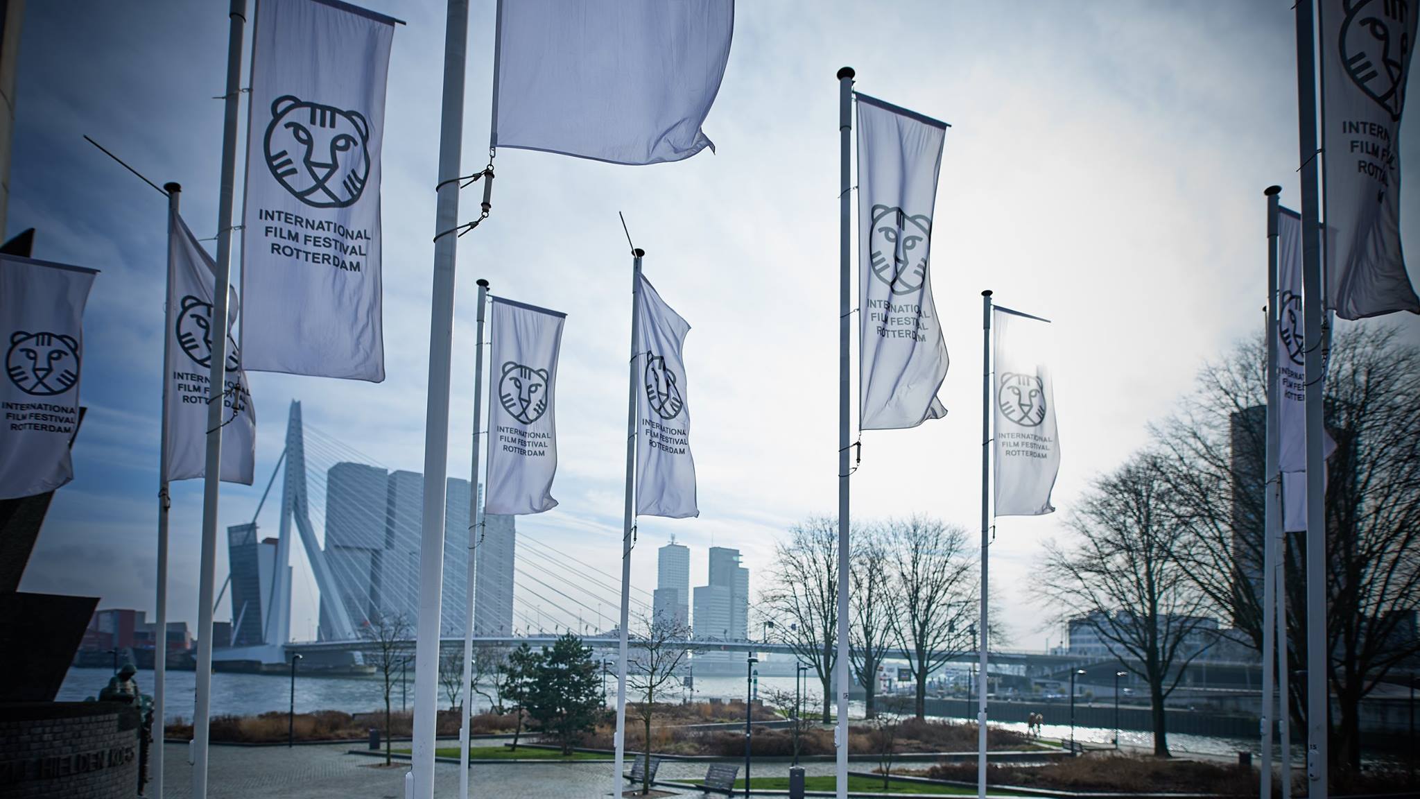 International Film Festival Rotterdam Features CalArts Grads