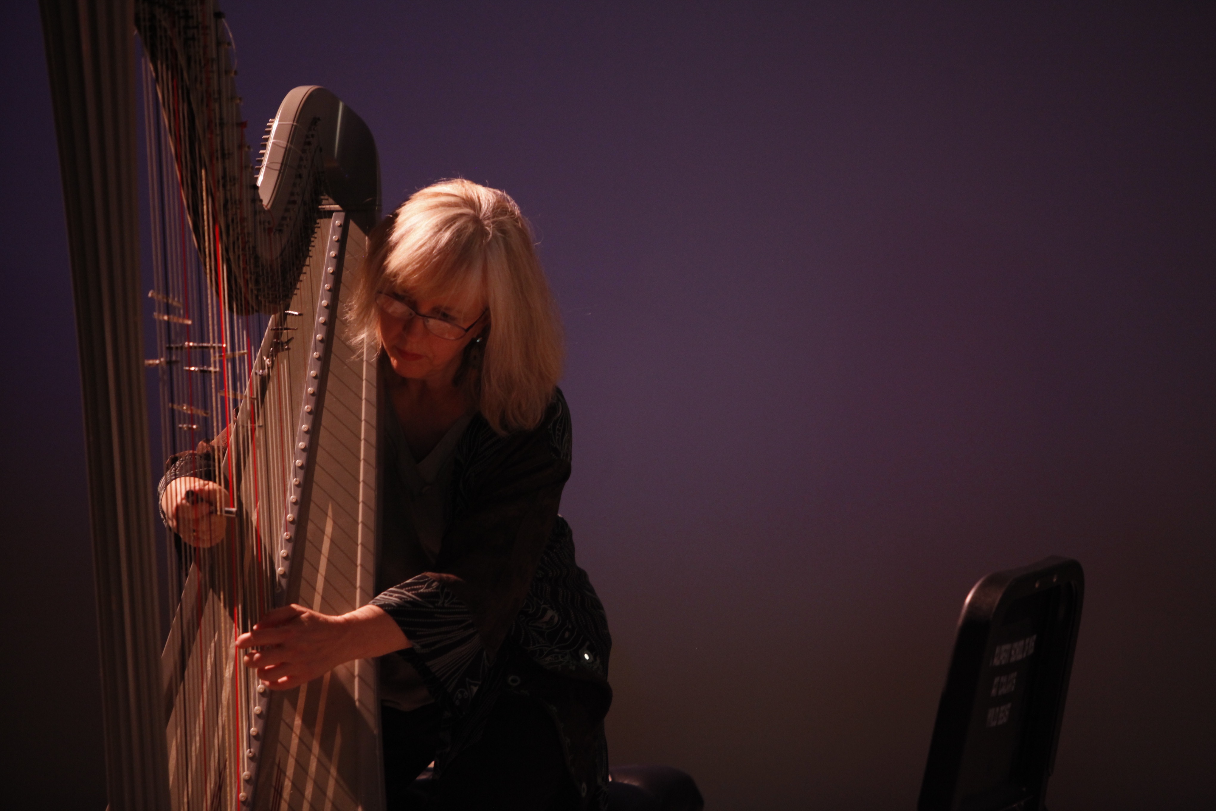 Anne LeBaron Featured in Music Library Association Women In Music Blog